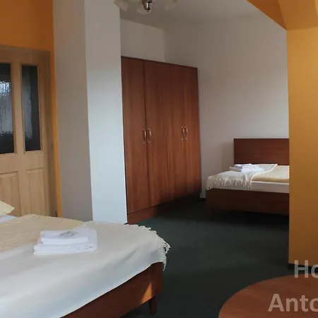 Hotel Antonietta 3*