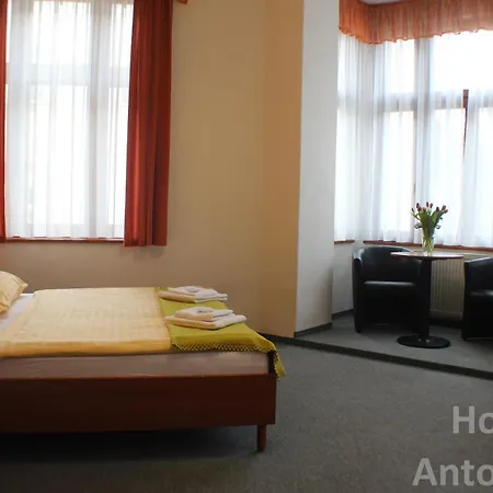 Hotel Antonietta Teplice