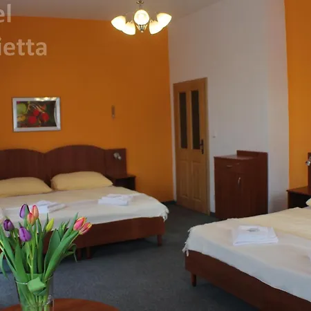 Antonietta Hotel Teplice